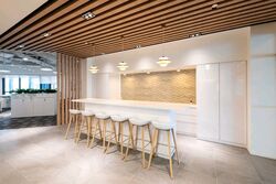 PLUS (D1), Office #559336401